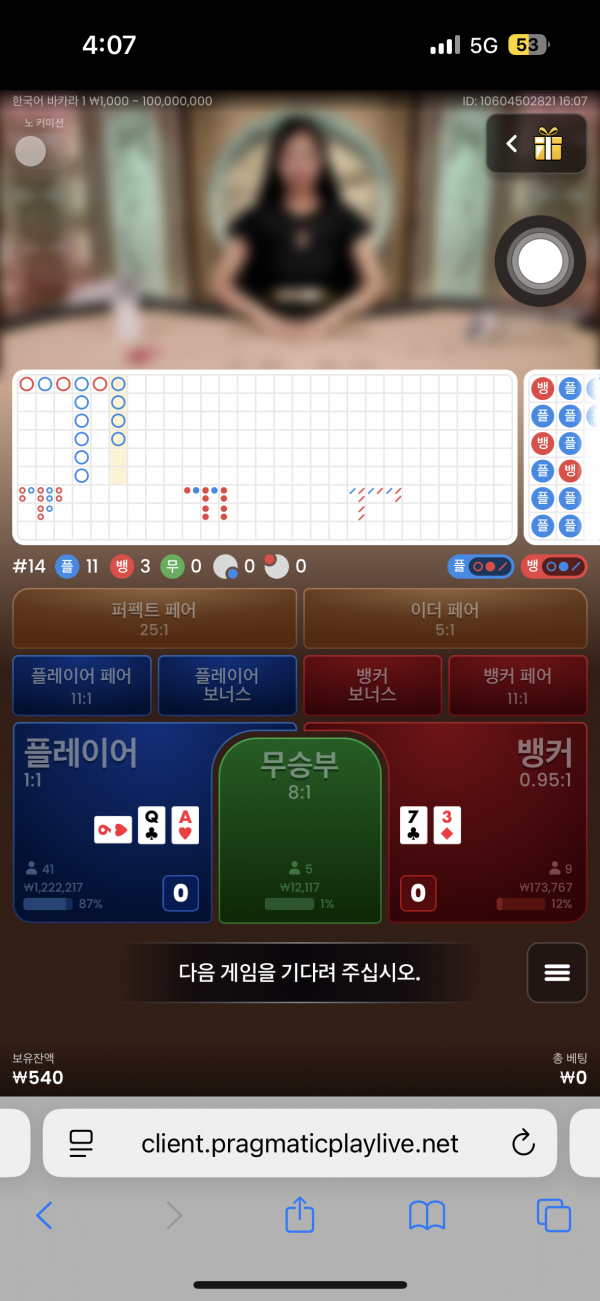 핑카후기