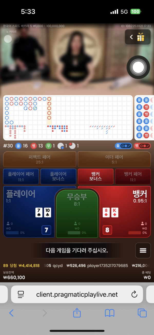 핑카후기