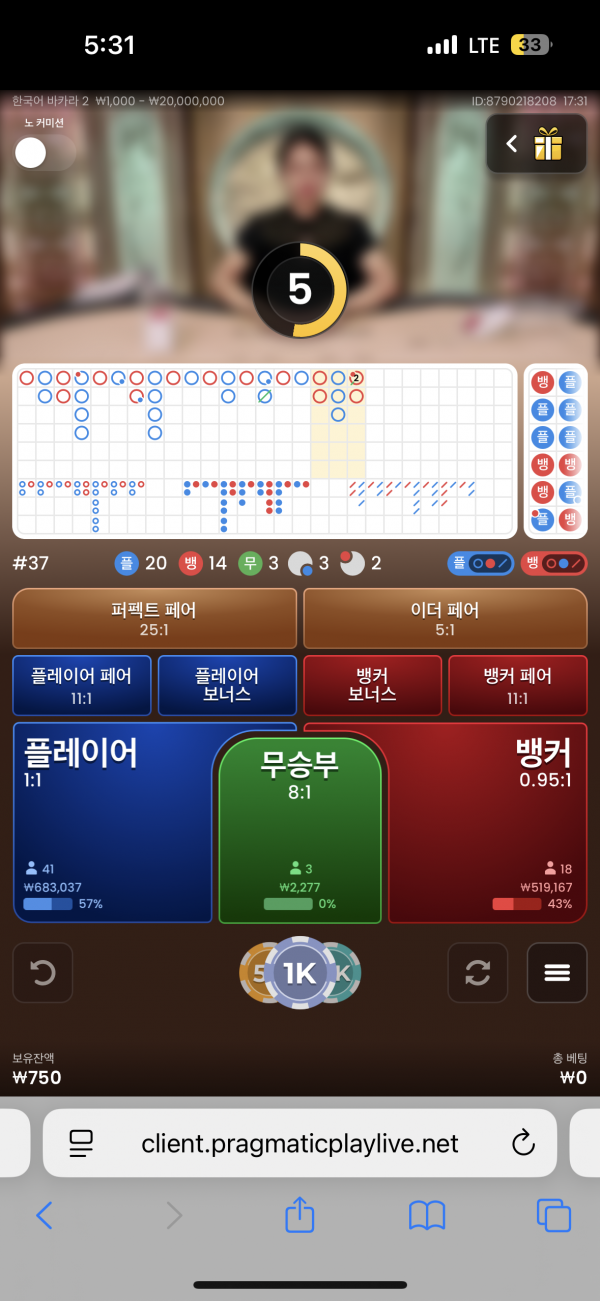 홈카지노후기