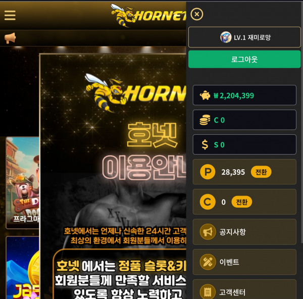 호넷