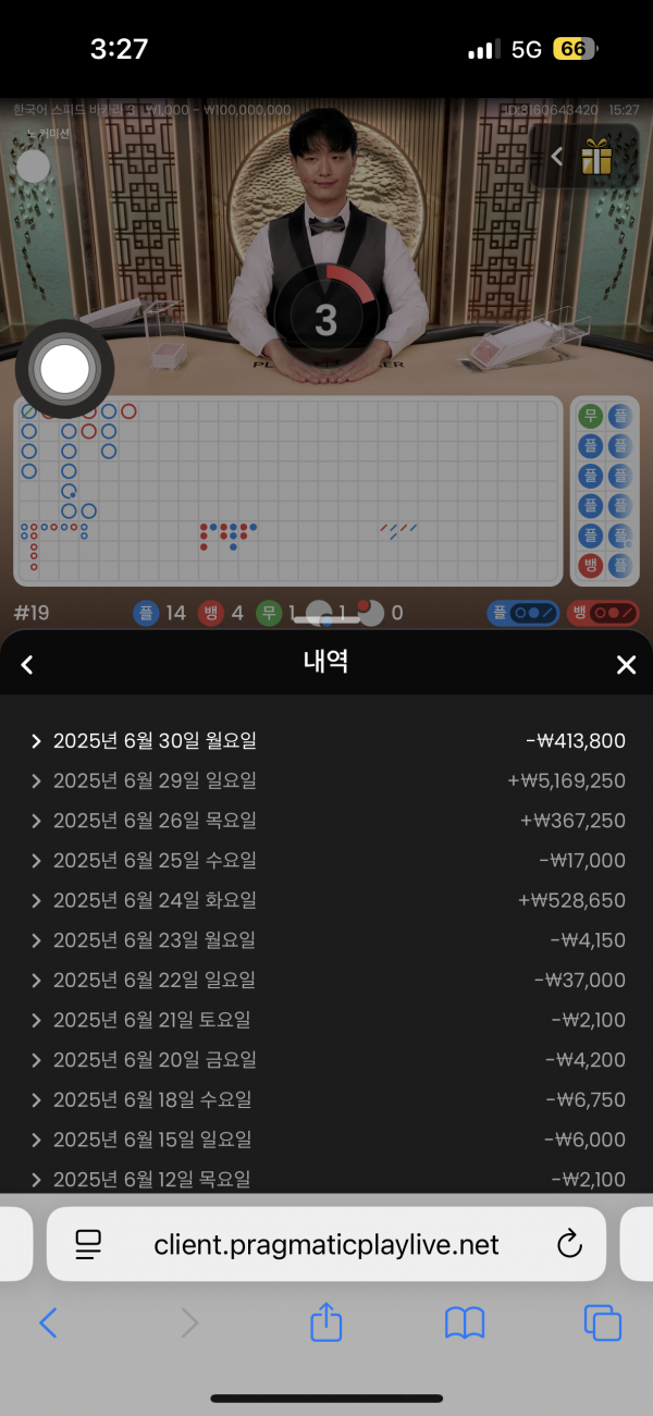 핑카후기