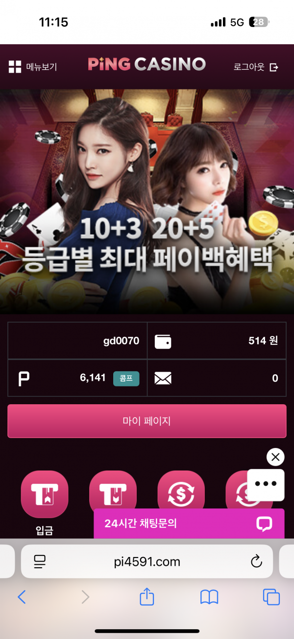 핑카후기