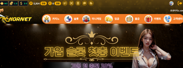 호넷 후기
