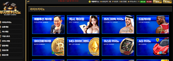 부카 포전