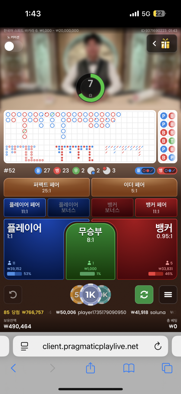 핑키지노 후기