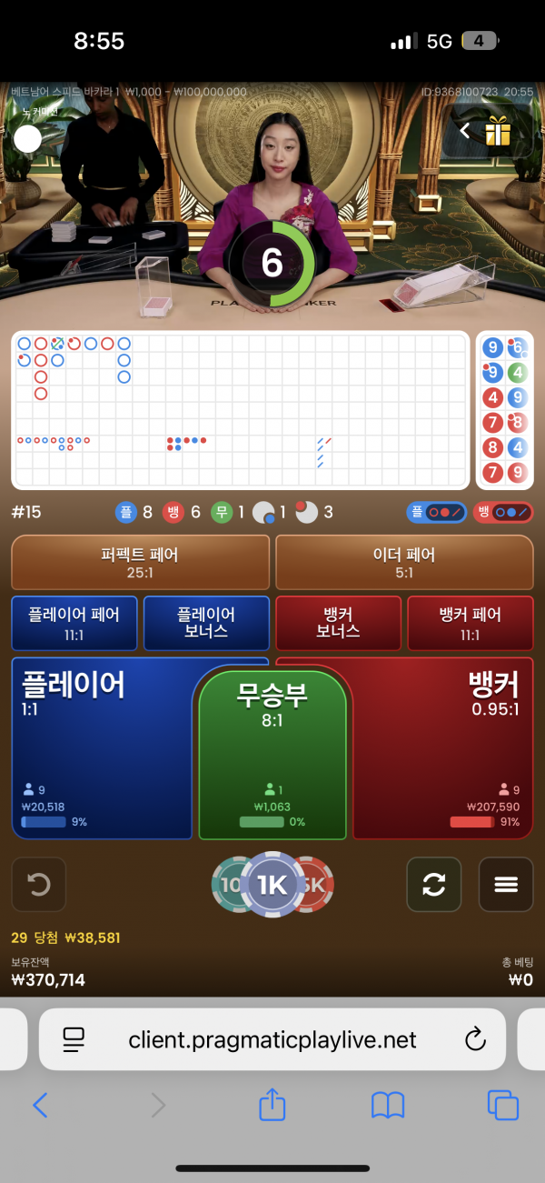 핑카후기