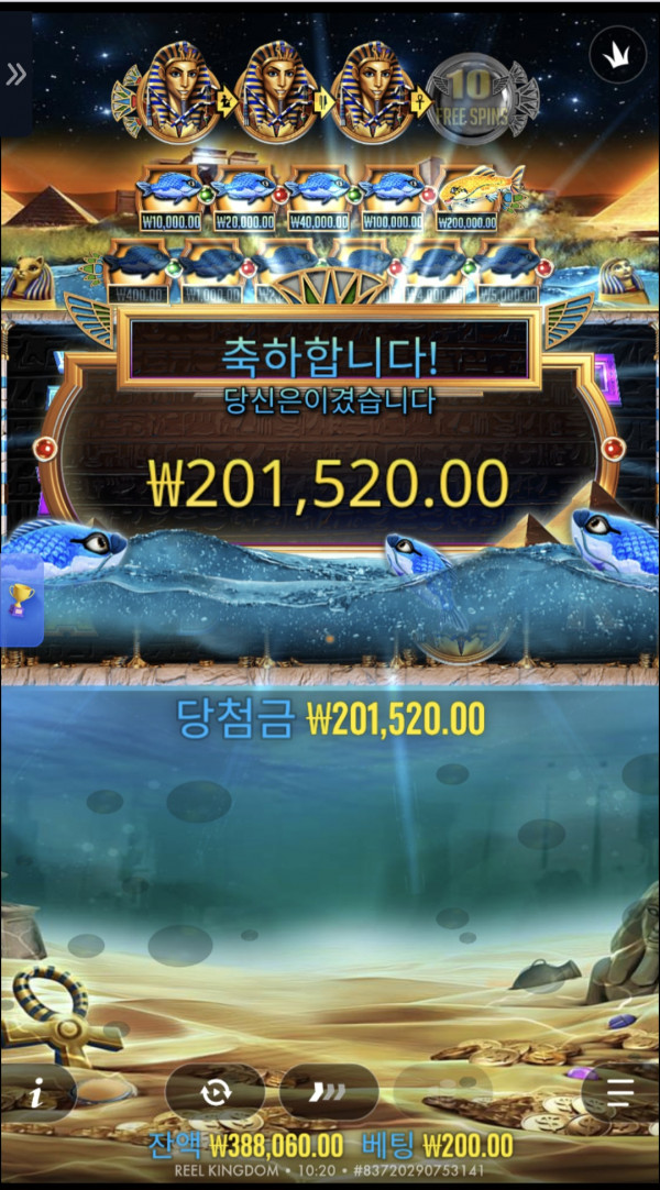 슬롯 배당왕 1007배