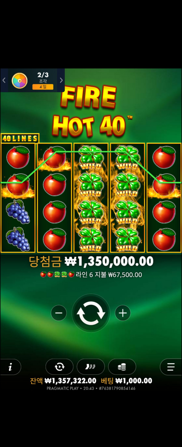 호넷후기