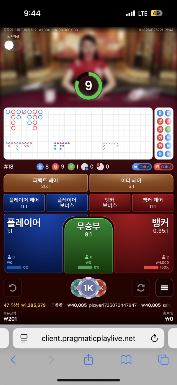 핑키후기