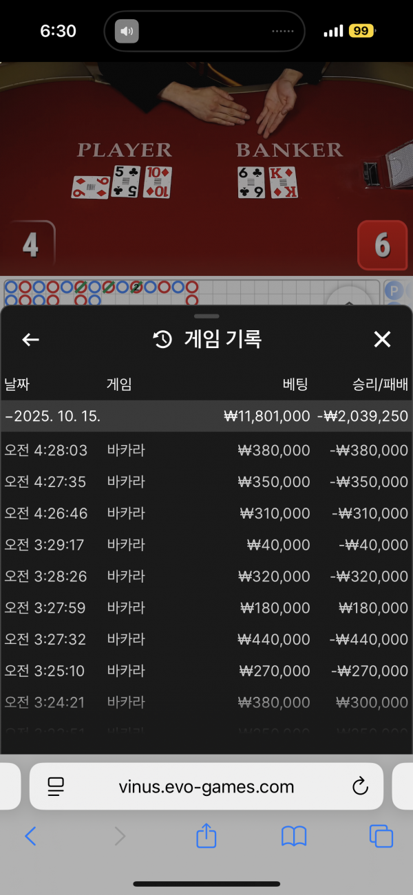핑카후기