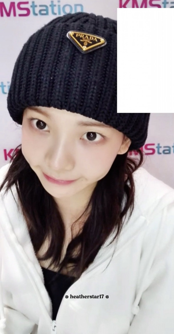 카리나