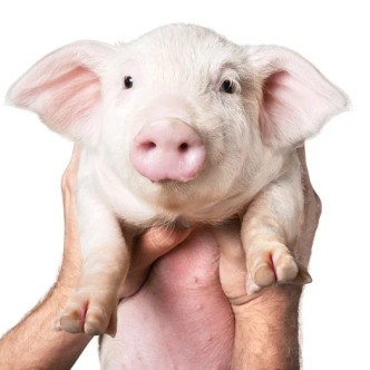 점심식사 맛있게 드세요 ㅎ