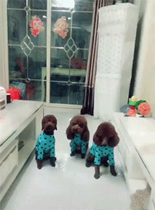 죽은척연기하니까
