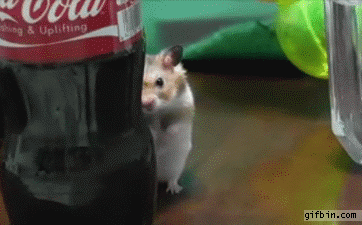 3b28145f87bee43721102b175ff7df97_Cwh0m6vN_f74042b0698f3b2e6ca14bab65598ab362052096.gif