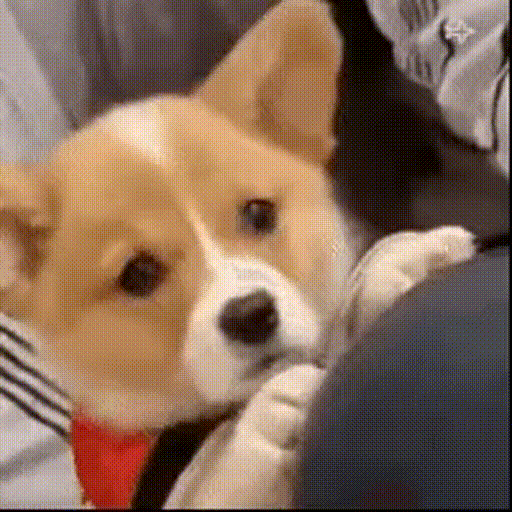 3b28145f87bee43721102b175ff7df97_FkHVMKwO_71866cce03542db7f13f3a0979a8d5e9a247fea7.gif