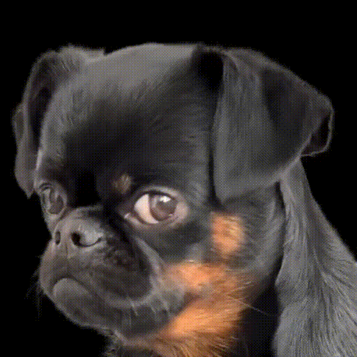 3b28145f87bee43721102b175ff7df97_cP1zfAT3_8b6ec9354bd04b5a79e1785e3abe9372afe5cd46.gif