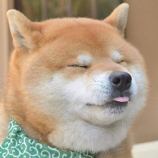 백만년만에? 백만년만에?