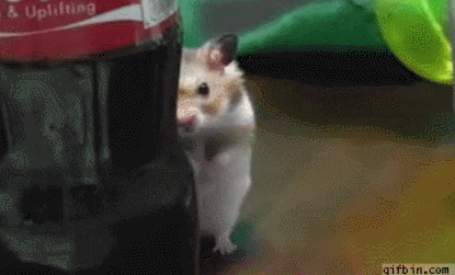 3b28145f87bee43721102b175ff7df97_p4QT7sxA_dd4a36ba819ced07a12087afcb1d2a6b9994d2bb.gif