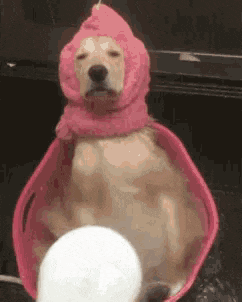 3b28145f87bee43721102b175ff7df97_tOsZTVlg_0de0b1c764384c9dae21d29e2fb1303ff5aa28ef.gif