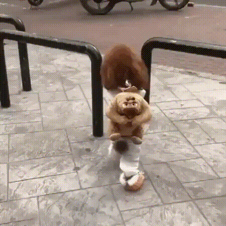 3b28145f87bee43721102b175ff7df97_uTFKGVQy_6ad89603fa64fc03a4ef6fd101a50810267c2345.gif