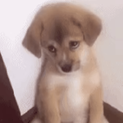 반보기땅?