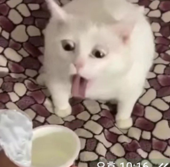 한화는. . . . .
