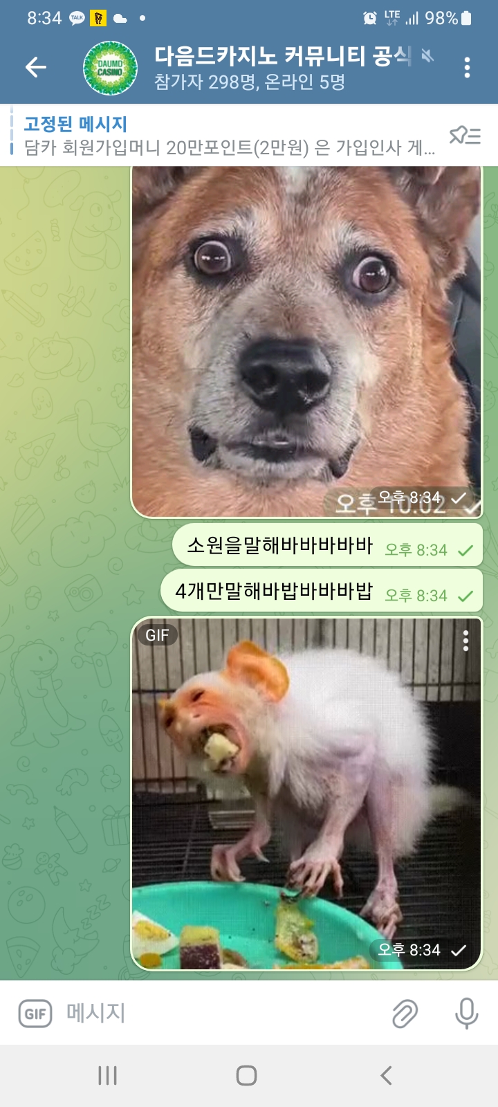 담카텔레  커피 이벤트