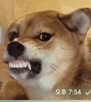 다들모하세여??? 다들모하세여???