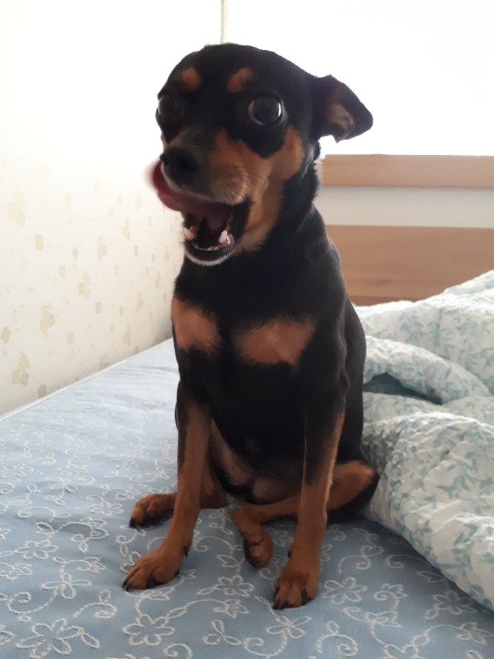 알람 부탁드립니다 ㅎ