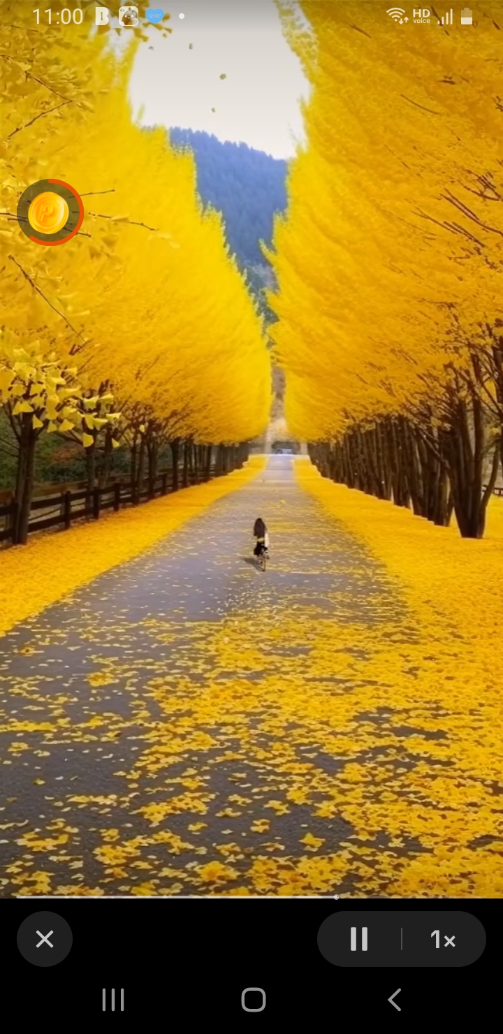 버닝 나이스 짝짝짝 가주아 ㅎ