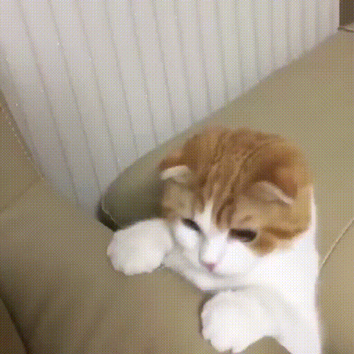 리피리눙요옹??