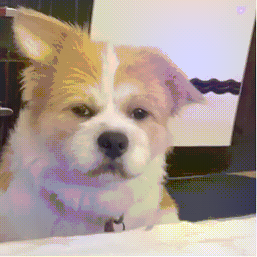 운전조심히해요!!!! 운전조심히해요!!!!