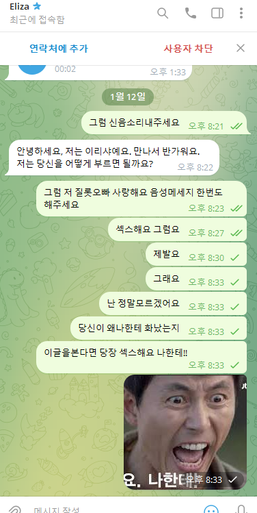 질롯이의 로맨스스캠 대처법