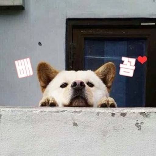 숙제능했으니..