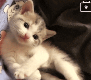 잠을 잘못잤나?