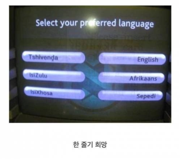 영어가 모국어가 되는 순간