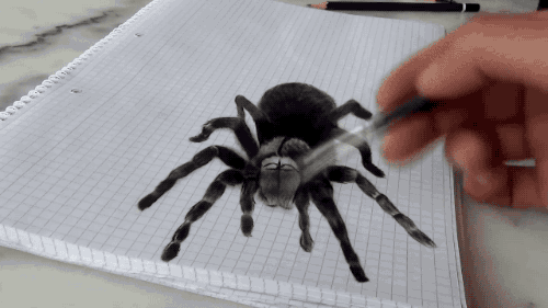 3D그림 거미