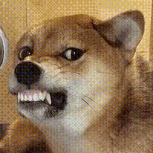 오늘 일뽀기1등...