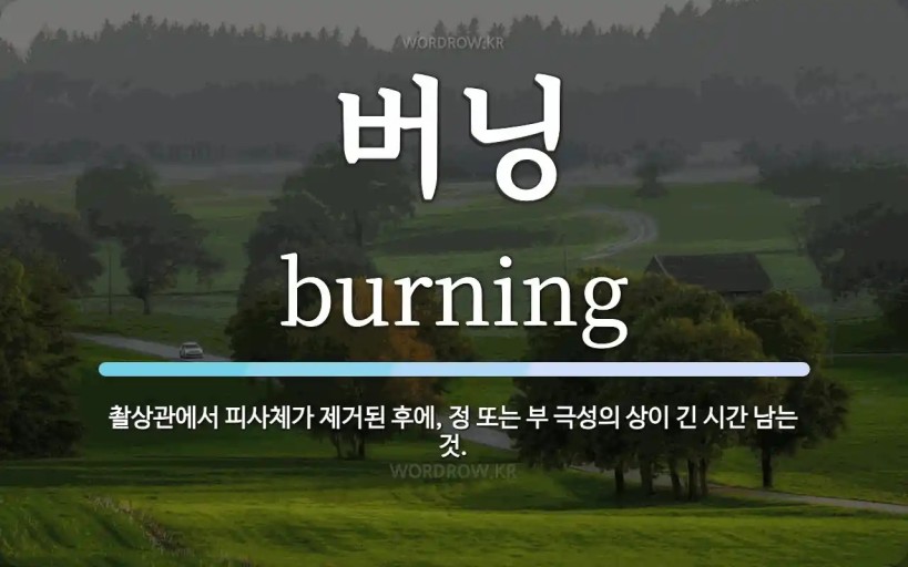 헛 버닝아 왔구나 ㅎ