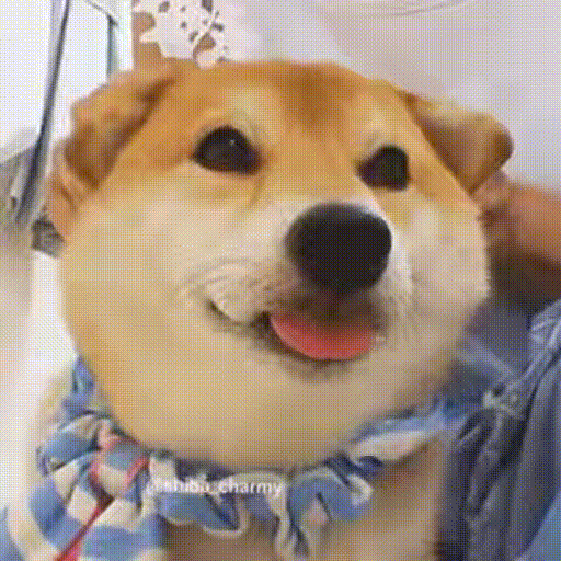 오랜만에? 오랜만에?