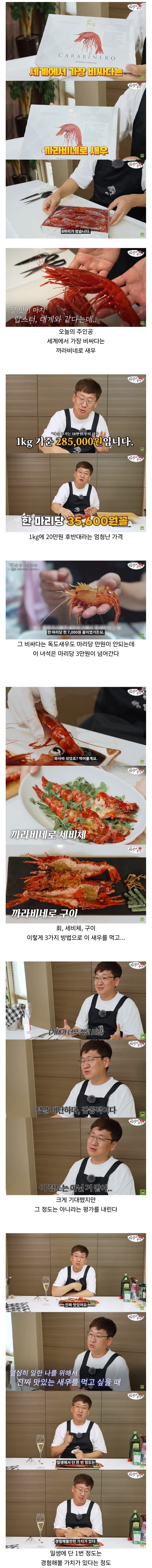 1kg당 28만원짜리 새우 먹방 후기