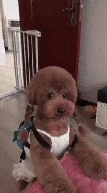 야심한 새벽? 야심한 새벽?