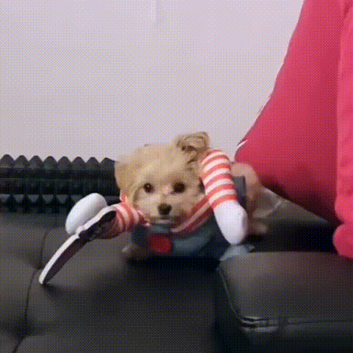 긍데 궁금한게있눙데?