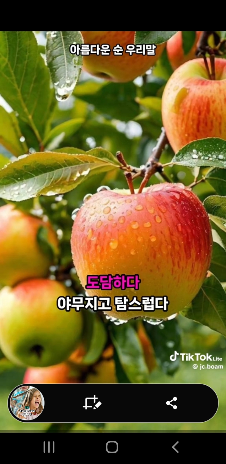 맛점타임 ㅎ