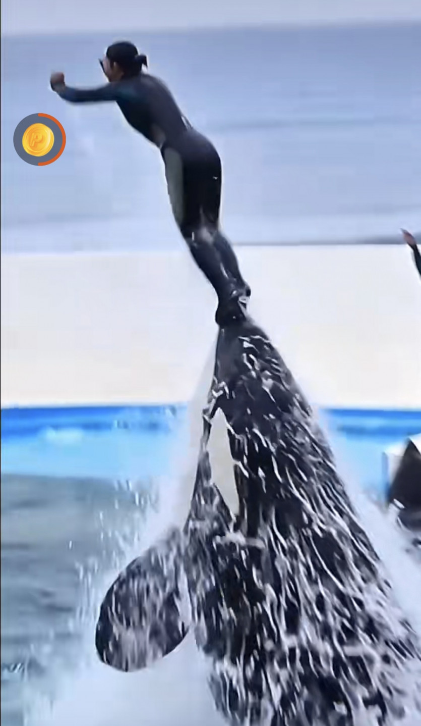 커담 가주아 ㅎ