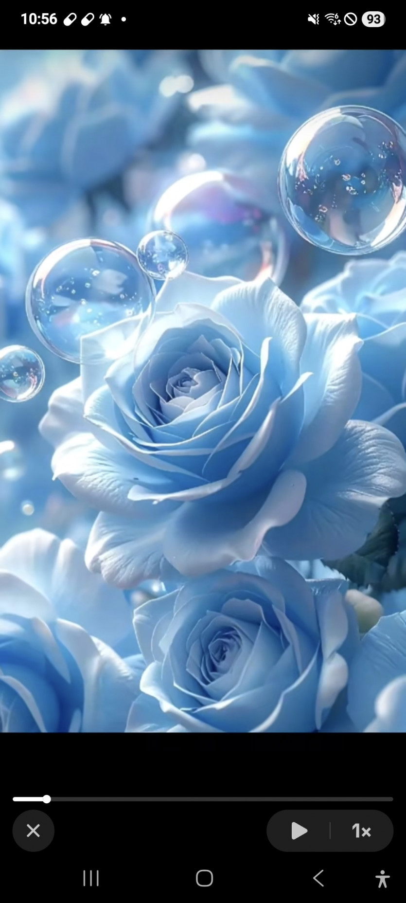 저녁반 또 출발 ㅋㅋㅋ