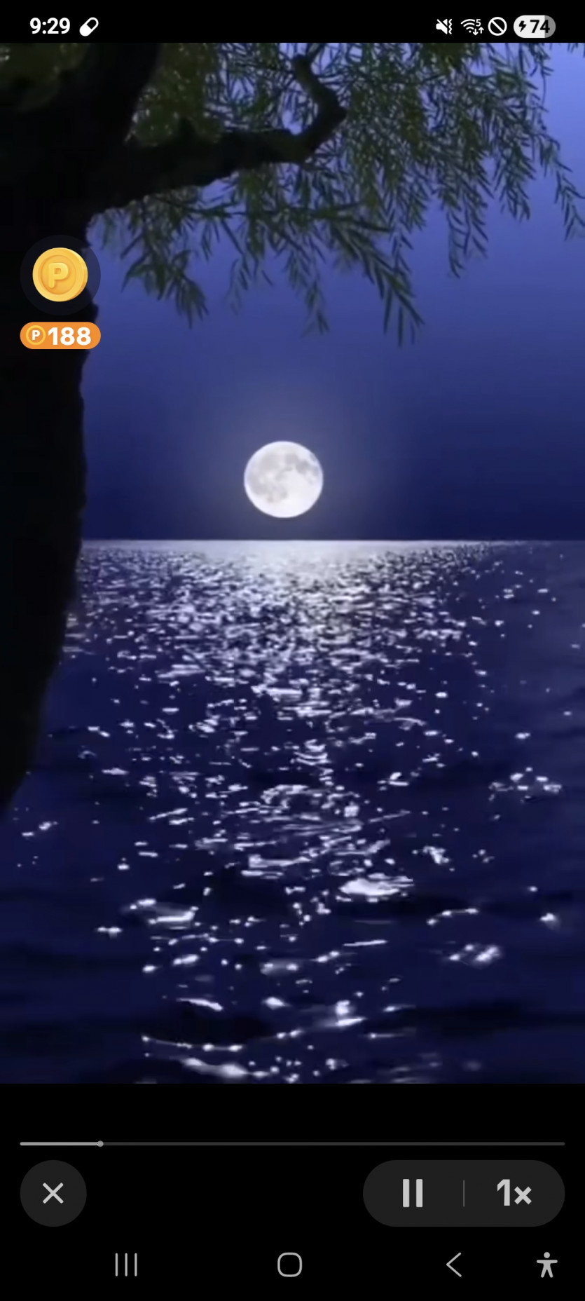 새벽반 힘내십시요 ㅎ