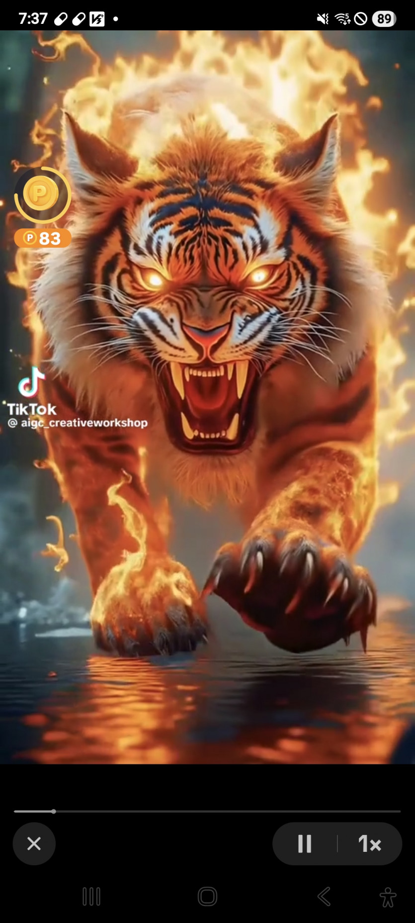버닝 가주아 ㅎ