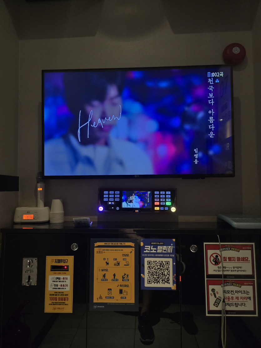 백년만에 코노!!