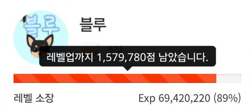 요거 요거,,,,,